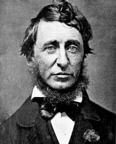 Henry David Thoreau photo