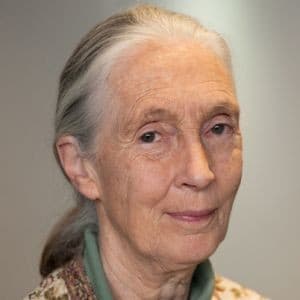 Jane Goodall photo