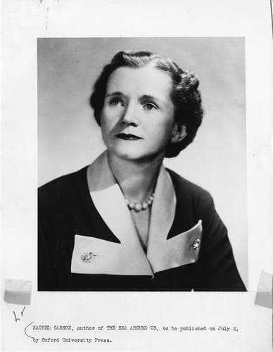 Rachel Carson photo