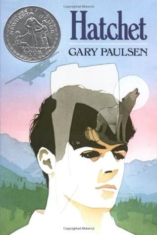 Hatchet cover