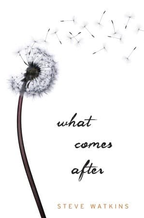 What Comes After cover